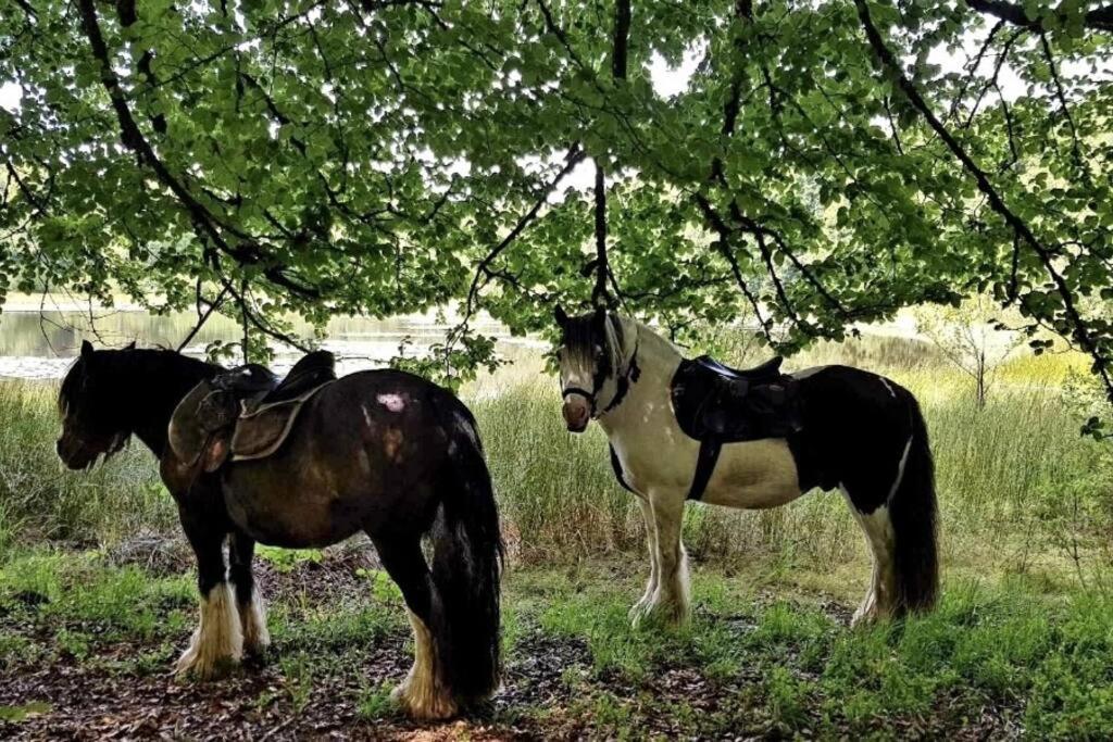 Les Vergers D'Epona "Fremifontaine Vosges" Bagian luar foto