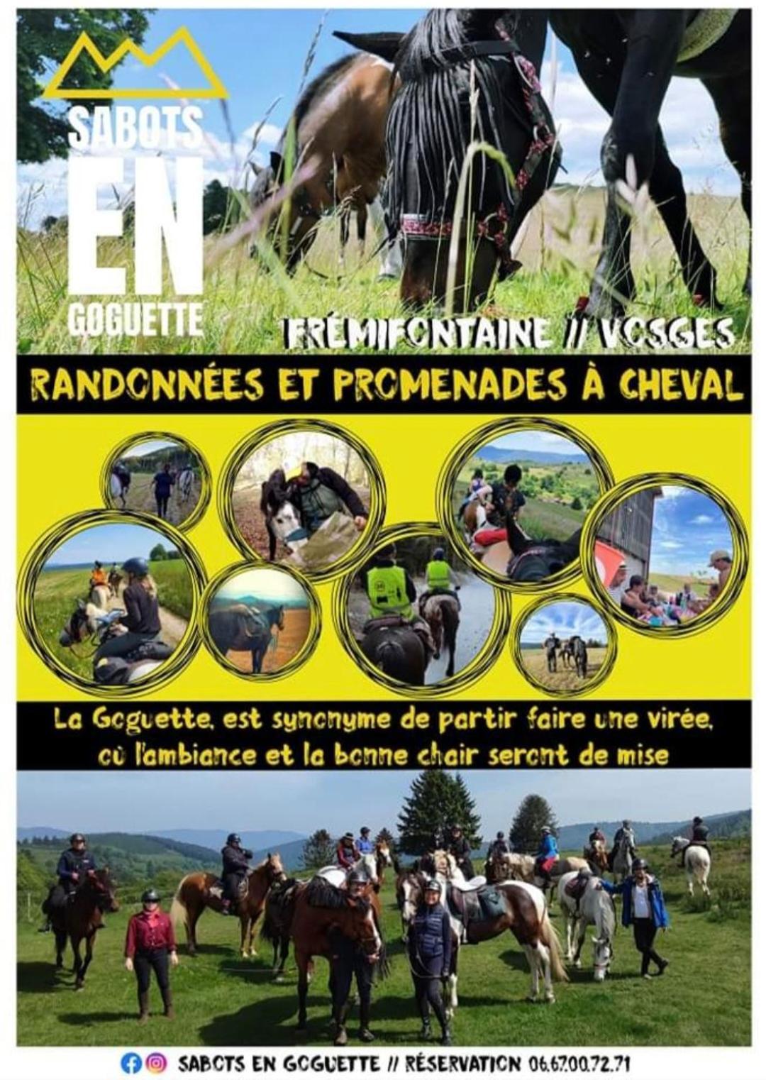 Les Vergers D'Epona "Fremifontaine Vosges" Bagian luar foto