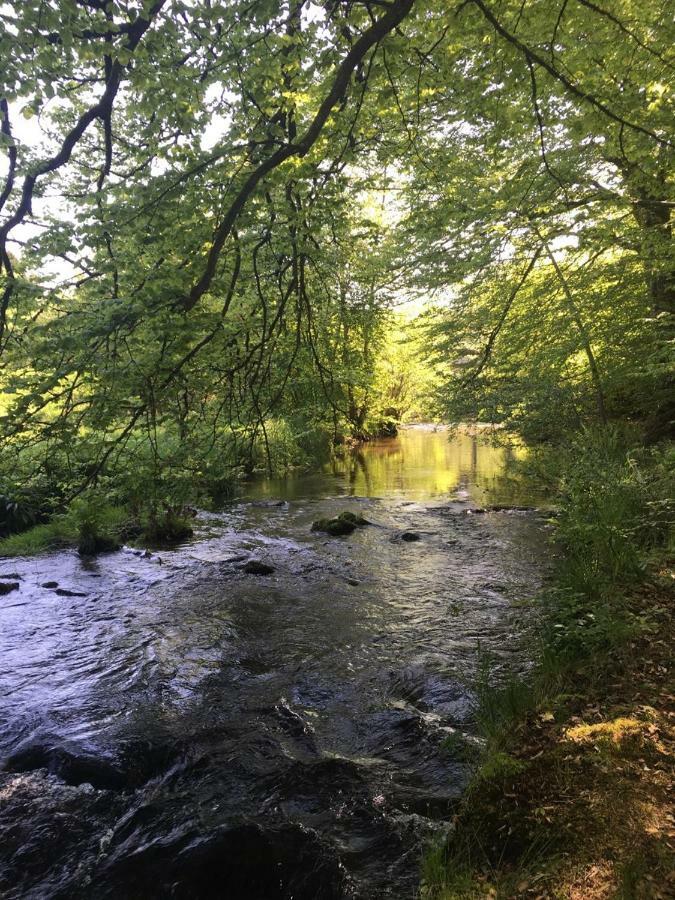 Les Vergers D'Epona "Fremifontaine Vosges" Bagian luar foto
